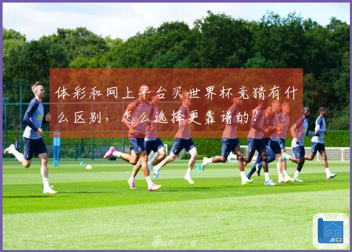 体彩和网上平台买世界杯竞猜有什么区别，怎么选择更靠谱的？ - 体育文章配图