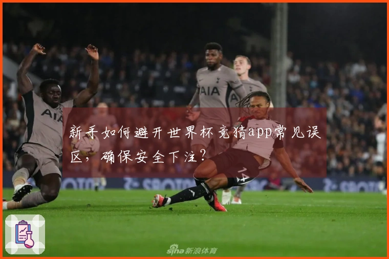 新手如何避开世界杯竞猜app常见误区，确保安全下注？ - 体育文章配图