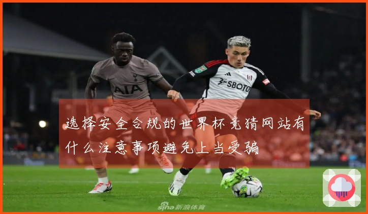 选择安全合规的世界杯竞猜网站有什么注意事项避免上当受骗