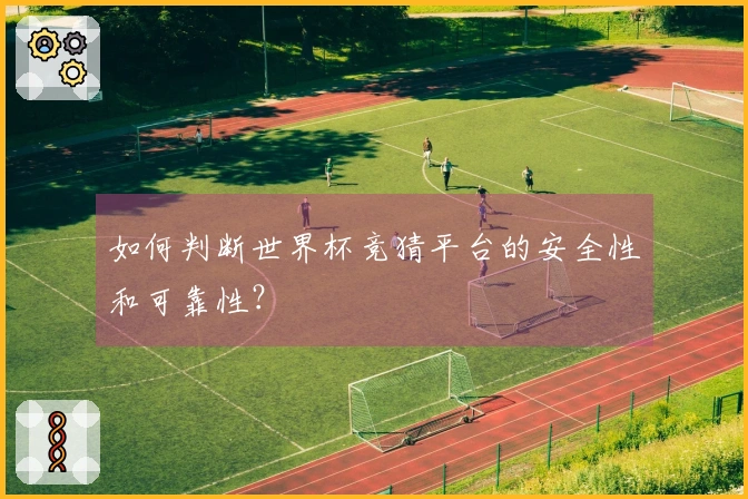 如何判断世界杯竞猜平台的安全性和可靠性？