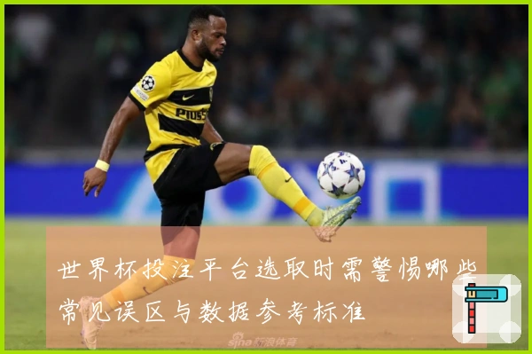 世界杯投注平台选取时需警惕哪些常见误区与数据参考标准